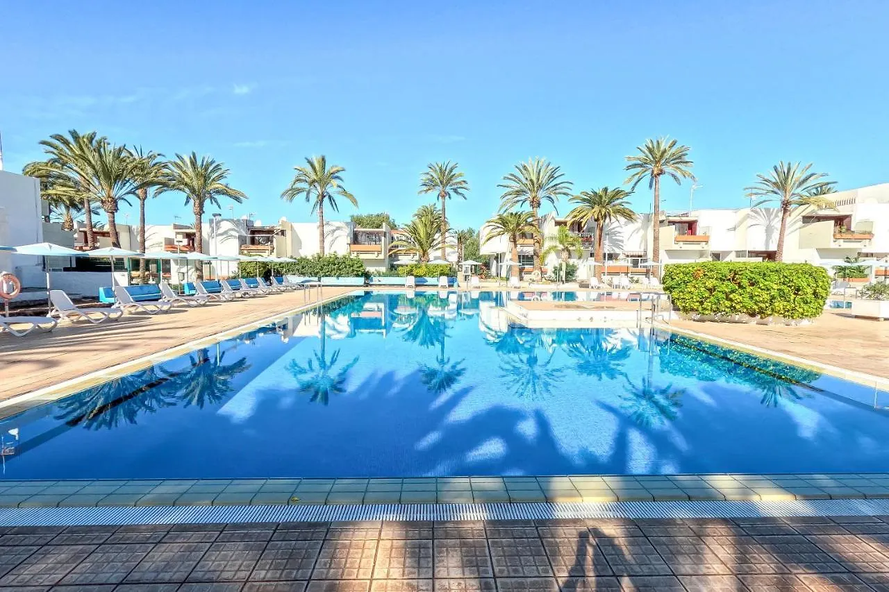 Stunning Lovely Flat With Pool And Strong Wi-Fi, 31 Arona  Holiday home Arona (Tenerife)